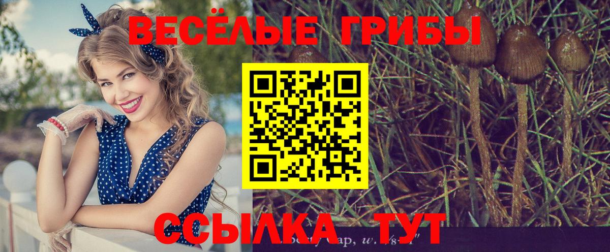 Арзамас  Галлюциногенные грибы Cubensis  дарнет шоп  Вход с VPN 