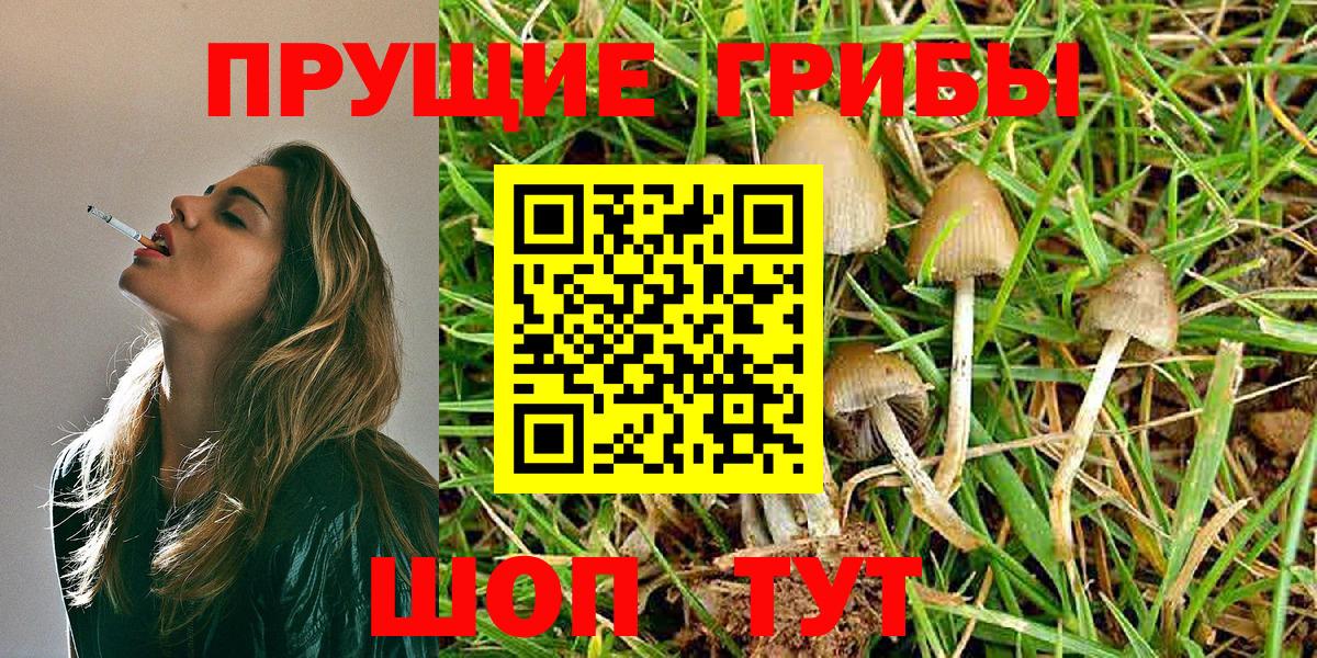 Псилоцибиновые грибы Psilocybine cubensis Арзамас